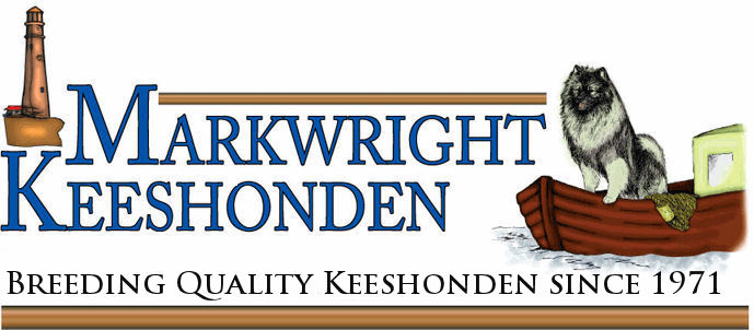 Markwright Kees Logo